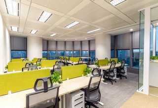 中山农村树苗厂家直销