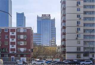 曲靖富源花魔芋种子种植